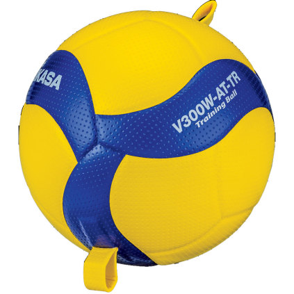 volleyball trainer ball