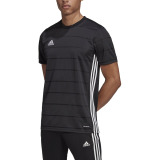 Adidas Short Sleeve Campeon 21 Jersey | All Volleyball