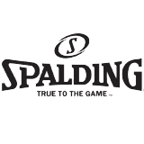 Spalding Volleyball